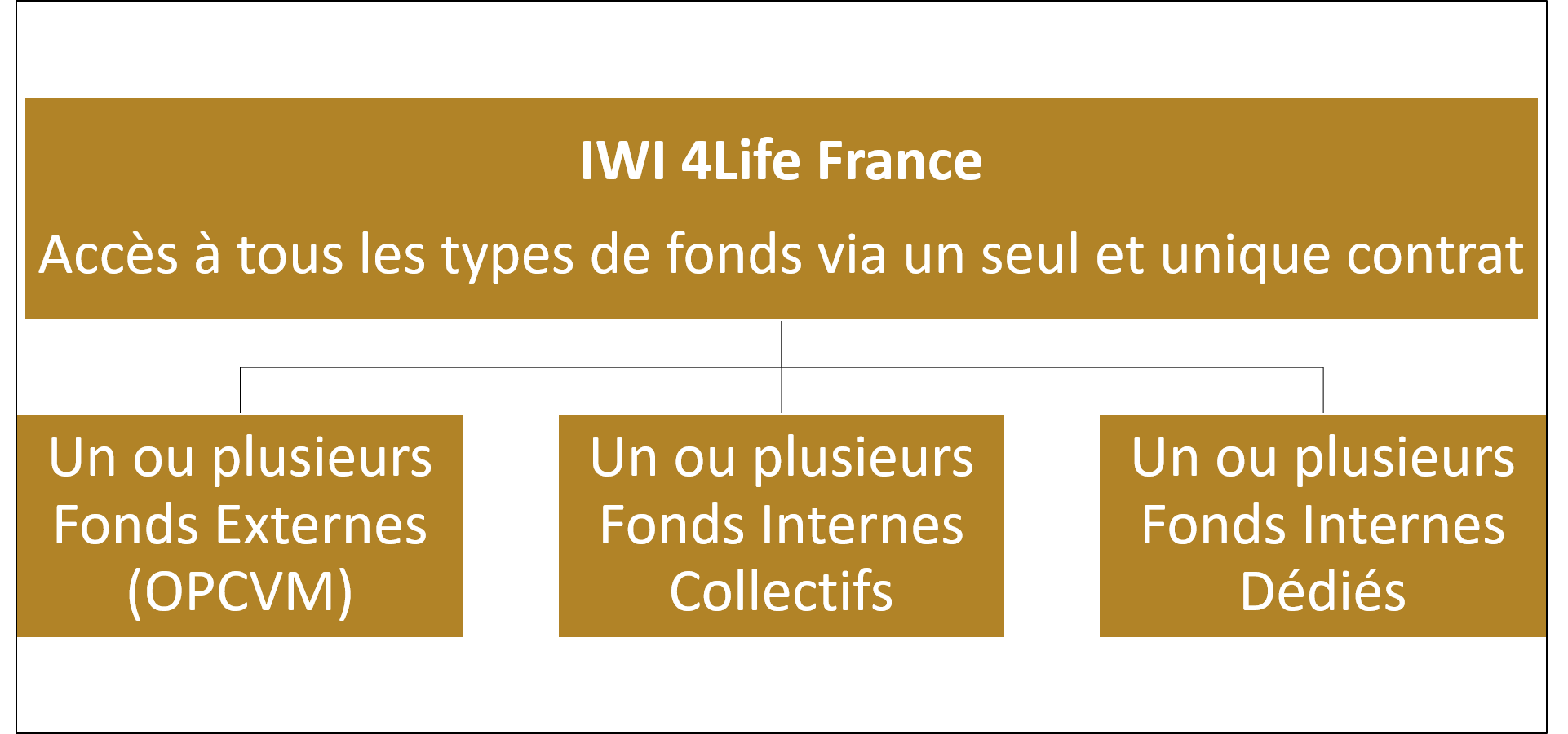 IWI 4Life France - All-in-One