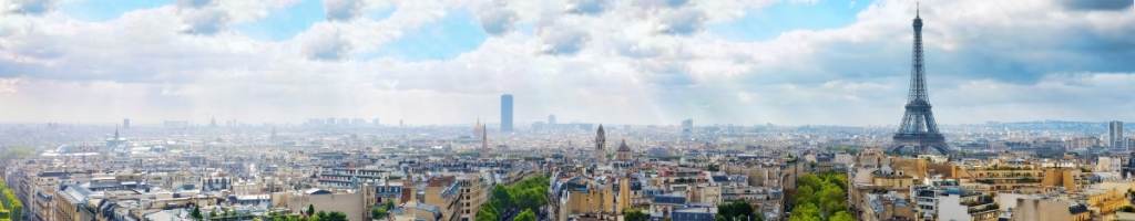 sci capimmo rendement 2019 article