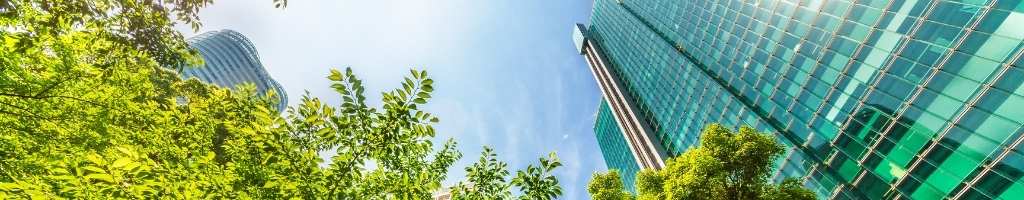 Comment investir dans « l’économie verte » en 2021