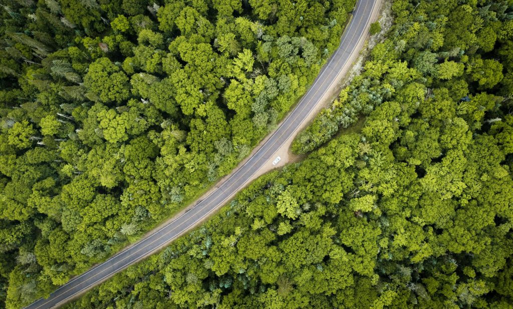 Investir dans la forêt
