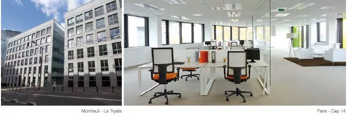 opcimmo paris investissements 2017