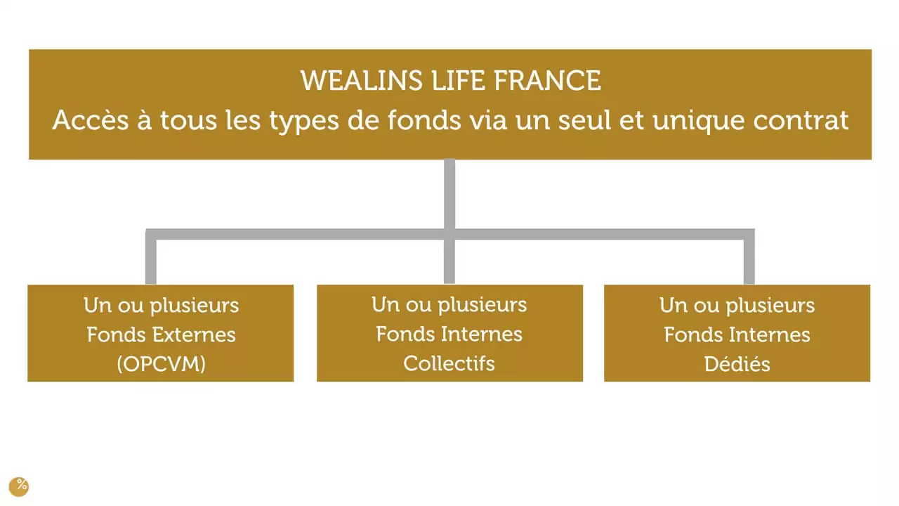 WEALINS LIFE FRANCE