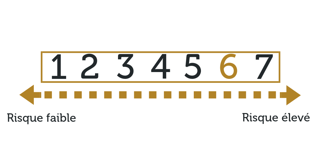 Echelle de risque AMF niveau 6