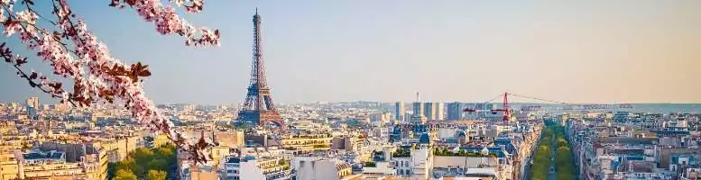 sci sofidy conviction immobiliere 2020