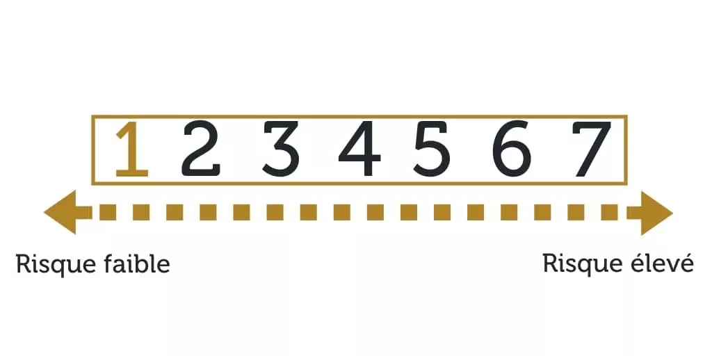 Indicateur synthétique de risque niveau 1